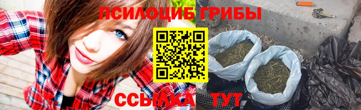 Химки  Псилоцибиновые грибы ЛСД  Вход с VPN 