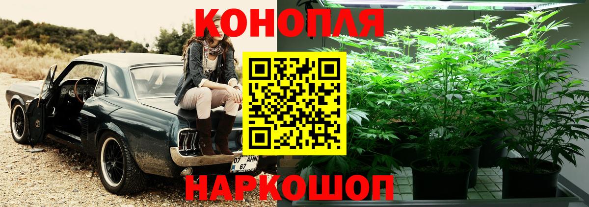 Шишки марихуана план Химки